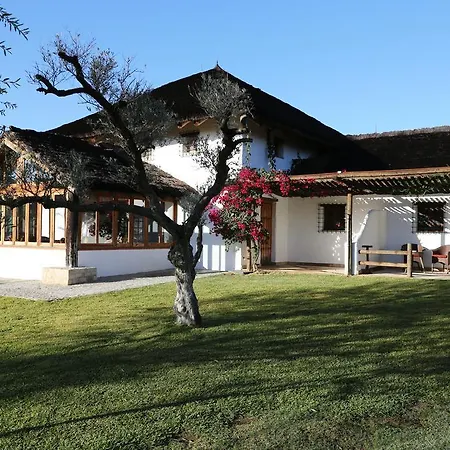 Ardea Purpurea 4*