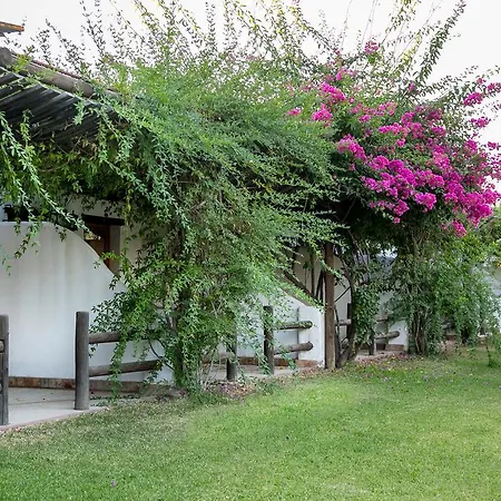 Hotel Ardea Purpurea