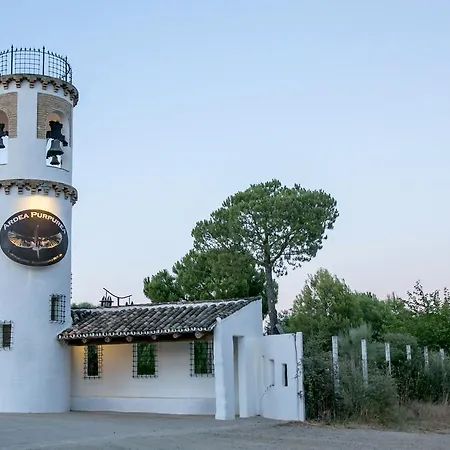 Hotel Ardea Purpurea