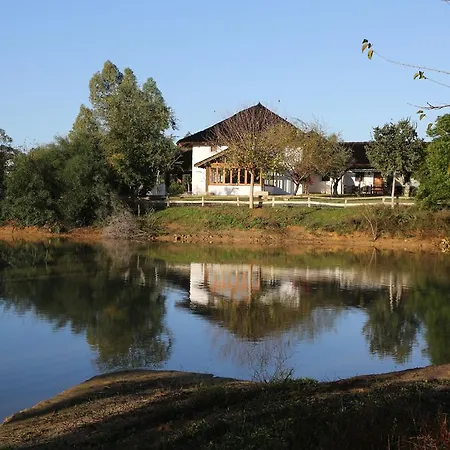 Ardea Purpurea 4*