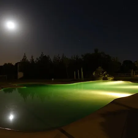 Hotel Ardea Purpurea